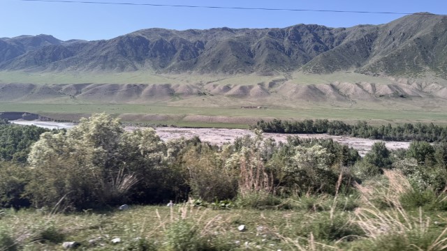 IMG 0477