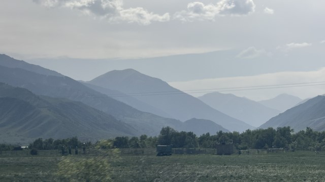 IMG 0478
