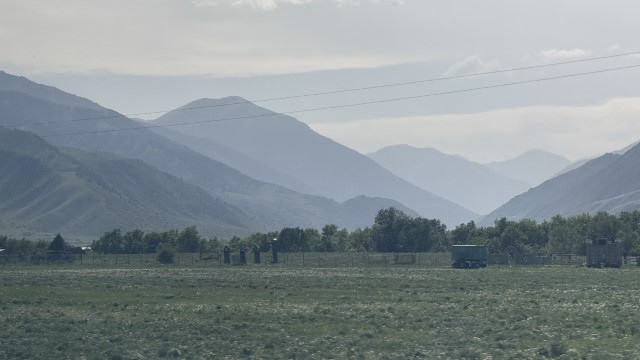 IMG 0479