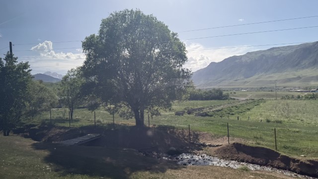 IMG 0486