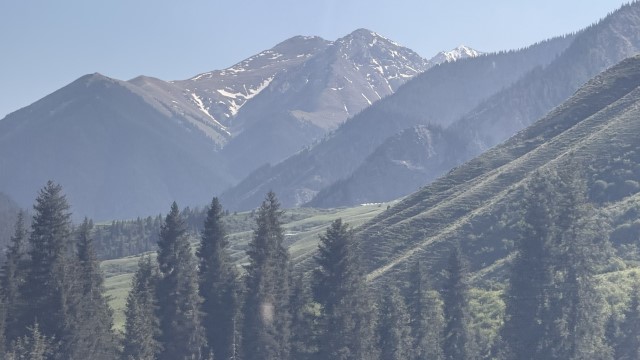 IMG 0487