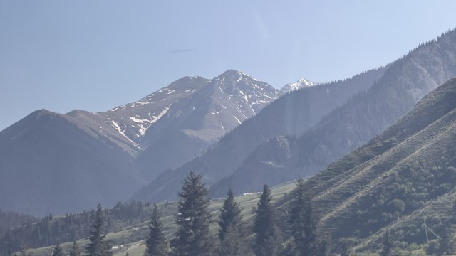 IMG 0488