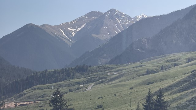 IMG 0490