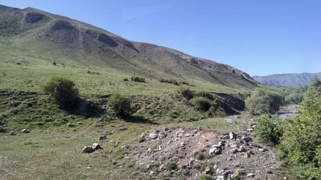 IMG 0494