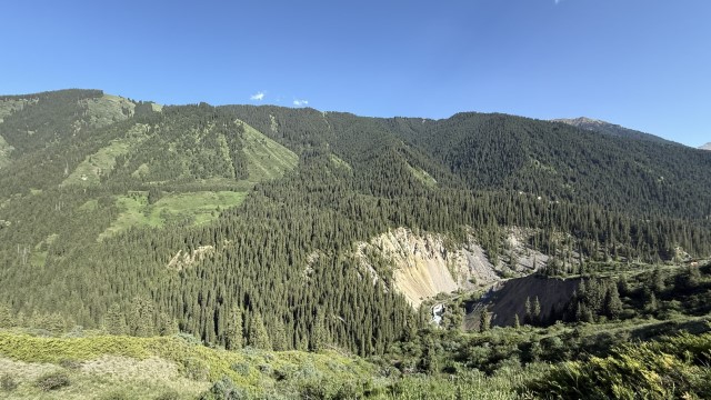 IMG 0496