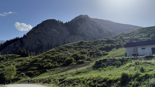 IMG 0512