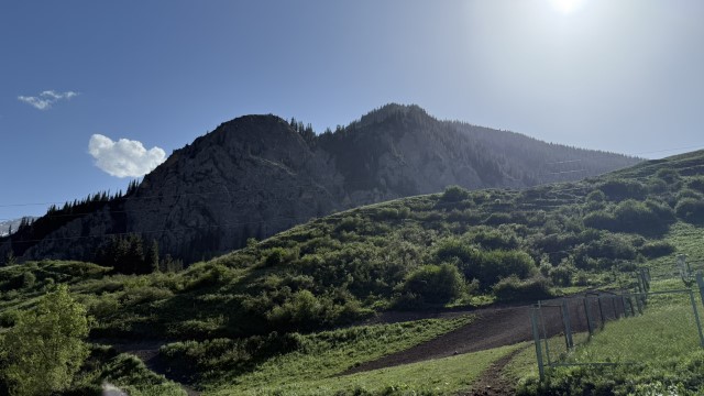 IMG 0513