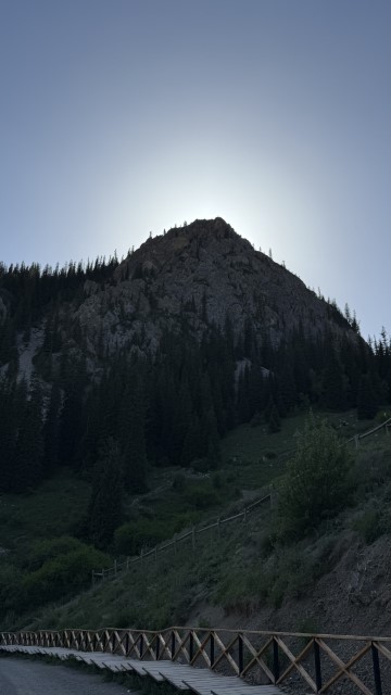IMG 0527