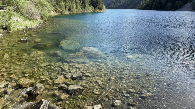 IMG 0546