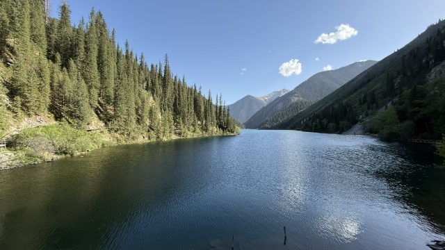 IMG 0556
