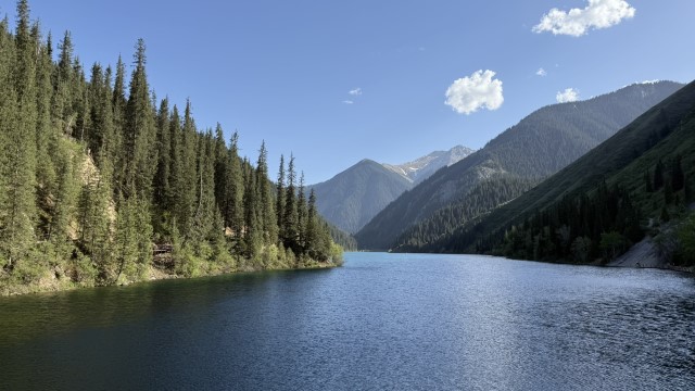 IMG 0557