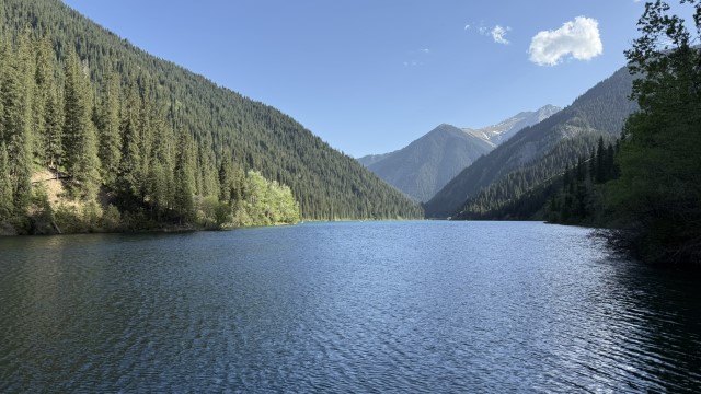 IMG 0559
