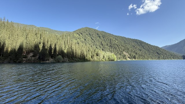 IMG 0564