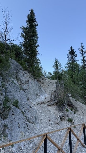IMG 0579