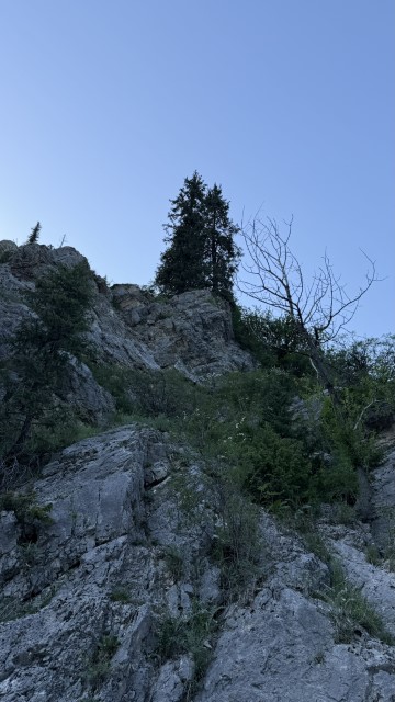 IMG 0580