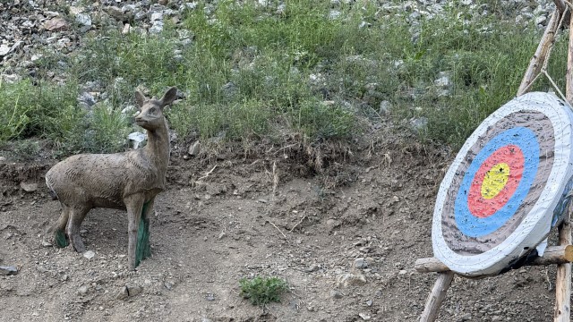 IMG 0584