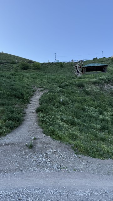 IMG 0588