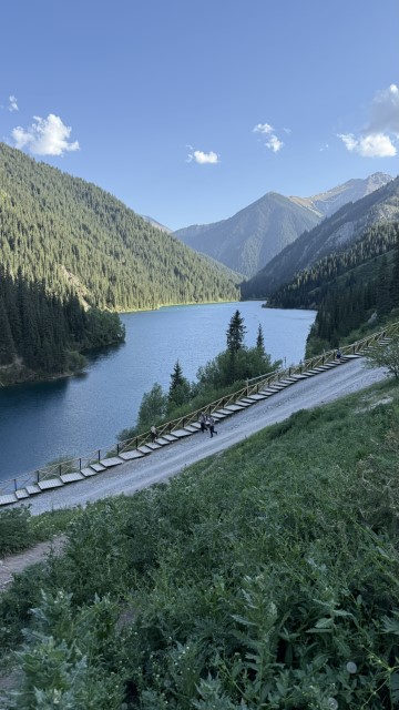 IMG 0590