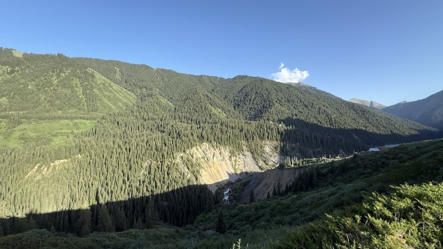 IMG 0597