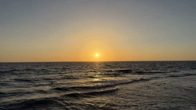 IMG 0801