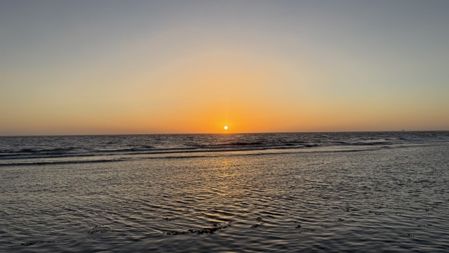 IMG 0808