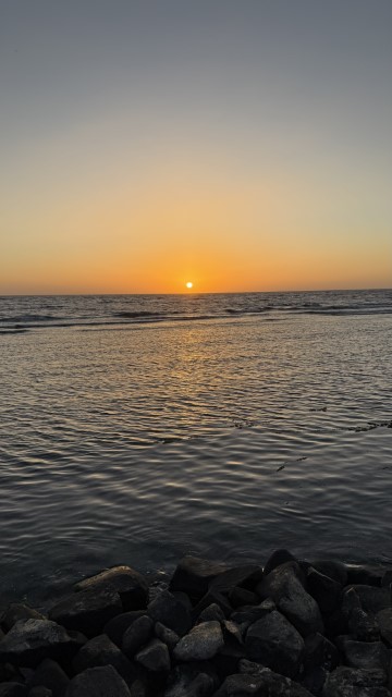 IMG 0811