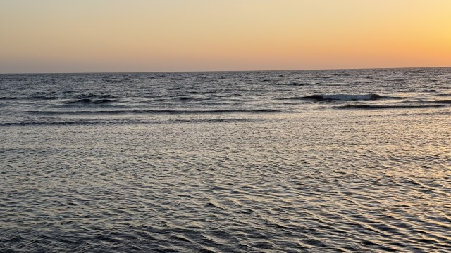 IMG 0813