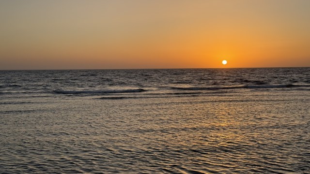 IMG 0814