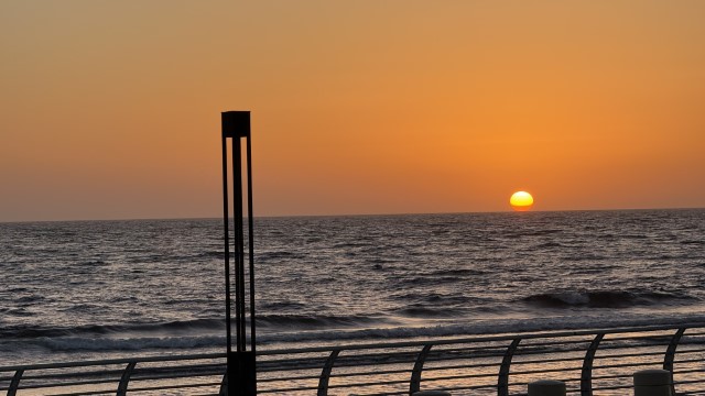 IMG 0818
