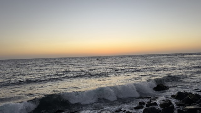 IMG 0821