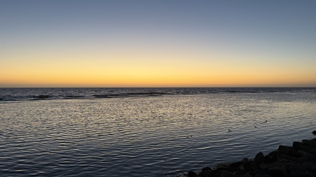IMG 0830
