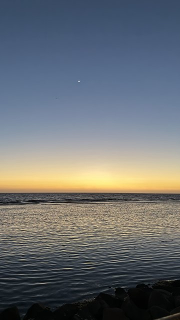 IMG 0832
