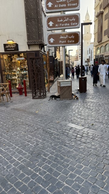 IMG 0903