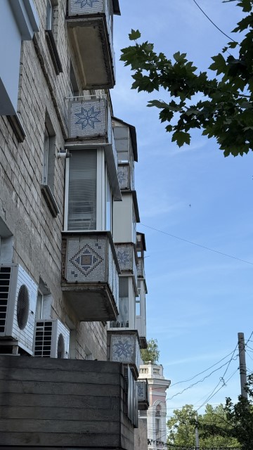 IMG 0987