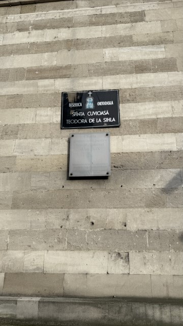 IMG 1013