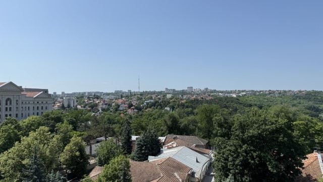 IMG 1590