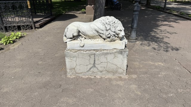 IMG 1703