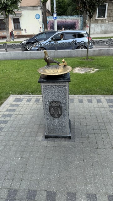 IMG 1734