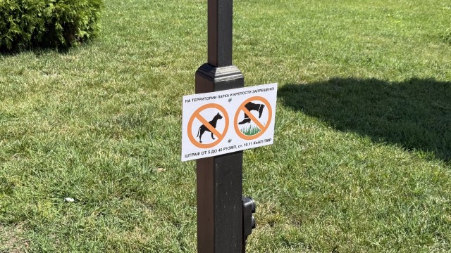 IMG 1155