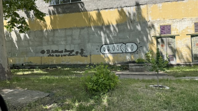 IMG 1257