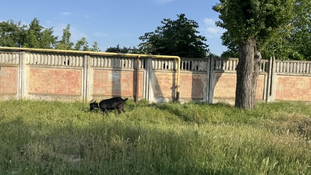 IMG 1560