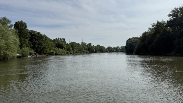 IMG 1463