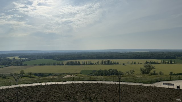 IMG 1554