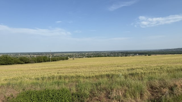 IMG 1559