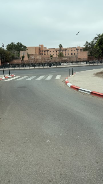 IMG 1920