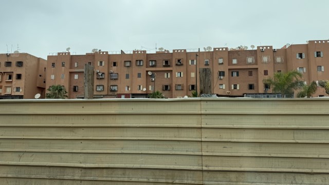 IMG 1923