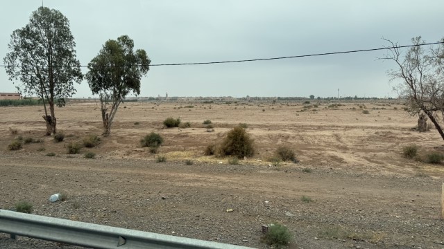IMG 1928