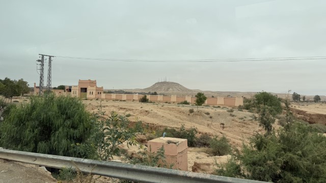 IMG 1942