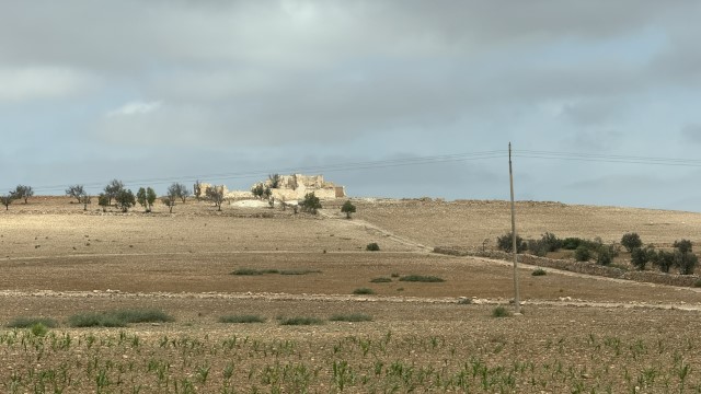 IMG 1954