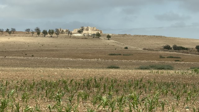 IMG 1955